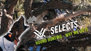 Hunting Mountain Lions Over Hounds ft The Untamed  Vortex Selects [upl. by Currey]