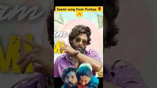 Saami Hindi song from Pushpa pushpa pushpa2 pushpasongs pushpahindi alluarjun boombuzz song [upl. by Qulllon]