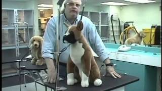 Groomers Helper Training Video [upl. by Lorens]