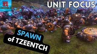 Spawn of Tzeentch  Unit Focus [upl. by Lorolla]