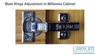 How to Adjust the Blum Hinge for Frameless Millennia Cabinets [upl. by Mellar832]