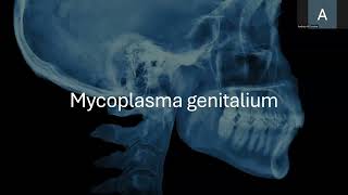 Mycoplasma genitalium y Haemphilus ducreyi [upl. by Ziegler]