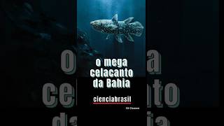 O MEGA CELACANTO DA BAHIA [upl. by Bainbridge]