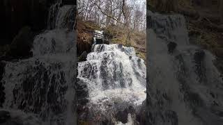 Birks of Aberfeldy After Storm Ashley waterfall scotland nature [upl. by Nodnal]