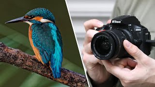 Nikon D5600 Camera Review  Best Photography Camera in 2023 [upl. by Ynez]