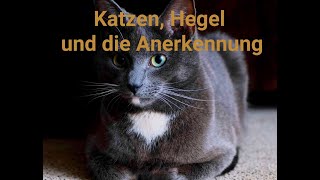 Katzen Hegel und die Anerkennung [upl. by Elleirua970]