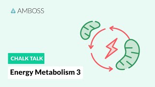 Energy Metabolism  Part 3 Regulation of Glycolysis [upl. by Adnahs]