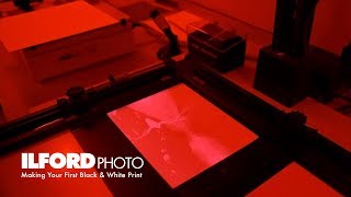 Making Your First Black amp White Darkroom Print [upl. by Stockton626]