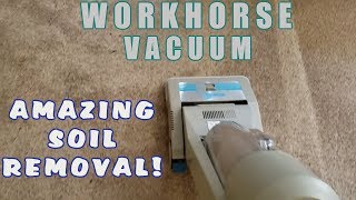 WORKHORSE VACUUM BEFORE CARPET CLEANING [upl. by Adnuhser869]