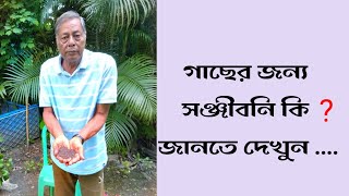 গাছের প্রাকৃতিক মহাঔষধ হিউমিক অ্যাসিড  Humic Acid a great natural medicine for plants [upl. by Ecnerwal]