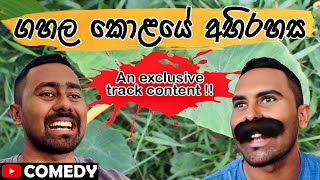 ගහල කොළයේ අභිරහස  An exclusive ට්‍රැක් content 😂 [upl. by Pinelli]