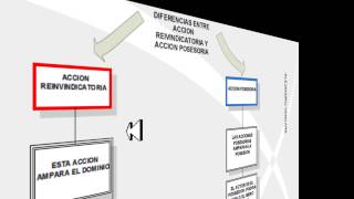 DIFERENCIAS ACCION REINV Y ACCION POSESORIA [upl. by Suicul]