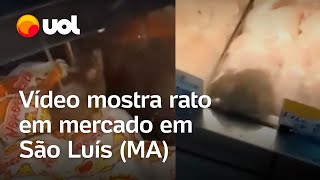 Vídeo mostra rato andando em freezer e mercado em São Luis é interditado parcialmente veja [upl. by Rubinstein685]