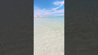 POETTO CAGLIARI ORE 14 💙🏖️Sardegna sardiniatravelshortvideo travel sardiniansea beach summer [upl. by Ysabel]