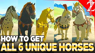 How to Get All 6 Unique Horses in Tears of the Kingdom [upl. by Yrian]