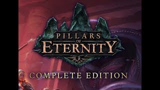 The Animancy Hearing  Pillars of Eternity 60 [upl. by Leiru]