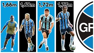 De Soteldo a Geromel A altura dos Jogadores do Grêmio [upl. by Leanora]