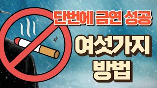 단번에 금연성공 경험담 비용없이 가능한 여섯가지 방법 [upl. by Viens]