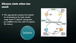 Molecule Project  Calcitonin [upl. by Atirat]