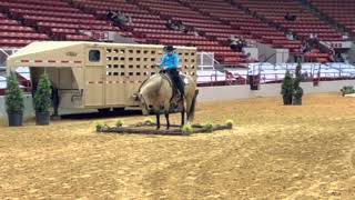 2023 Houston Ranch Horse Show HLSSR🐴horses westernworld equestrian aqha buckskin ranchshow [upl. by Alleen560]