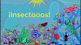 Insectos letralyric video [upl. by Jarita]