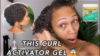 I Tried Another Curl Activator Gel For Natural Hair Wash and Go’s [upl. by Chubb700]