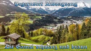 Tegernseer Zwoagsang  Die Gamsl schwarz und braun [upl. by Emili]