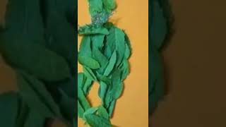 TULSI PUJA  DEV UTHANI EKADASI TULSI SONG  TULSI BHAJAN  DIY [upl. by Curhan875]