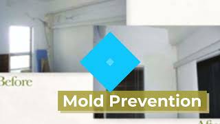 Mold Prevention  Ashburn VA  PMSI Mold Treatment Division [upl. by Starbuck171]