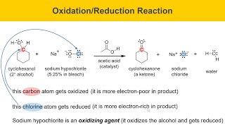 Green Oxidation of Cyclohexanol Experiment Part 1 Prelab [upl. by Cheng908]