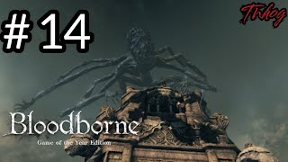 BLOODBORNEEp 14 Aula Magna e Frontiera dellincubo  Boss Amygdala  Coop with friend [upl. by Llebanna302]