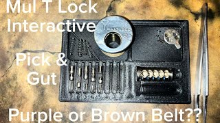 47 MulT Lock Interactive Pick and Gut Disaster… [upl. by Lathrop777]