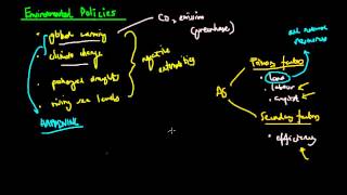 Environmental Policies [upl. by Nick]