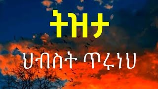 áˆ…á‰¥áˆµá‰µ áŒ¥áˆ©áŠáˆ… á‰µá‹á‰³  Hibist Tiruneh Tizta [upl. by Trovillion]