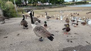 Hollingworth Lake 13 Sept 24 [upl. by Berenice]