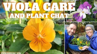 🧡 Viola Plant Chat Learn Viola Plant Care and More  SGD 226 🧡 [upl. by Cynthie29]