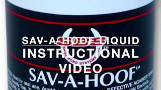 SAV A HOOF Liquid Instructional Video [upl. by Euqinehs56]