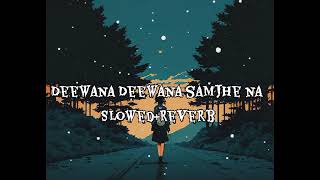 Deewana Deewana samjhe na lofi song SlowedReverb [upl. by Eednam590]