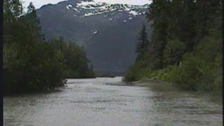 Jet Boating  Stikine River to Shakes Glacier  Wrangell AK [upl. by Devlen817]