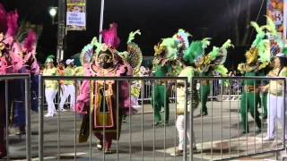 CARNAVAL DE BRASIL 2015 [upl. by Ssej]