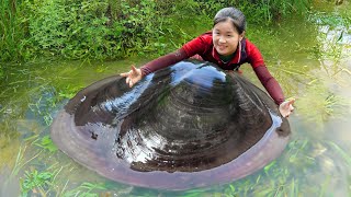 3 Days Harvest natural seafood mussels snails fish  Bring to market sell  Lý Thị Ngọc [upl. by Stephie]