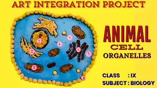 Animal Cell Model Using PULSES [upl. by Nellir]