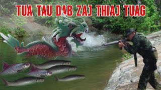 TUA TAU DAB ZAJ THIAJ TUAG [upl. by Sorenson858]