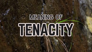 What is the meaning of Tenacity [upl. by Katzen498]