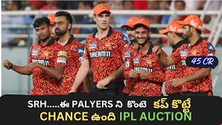 SRH Should Buy this players to win IPL 2025  auction 2025 [upl. by Spoor]