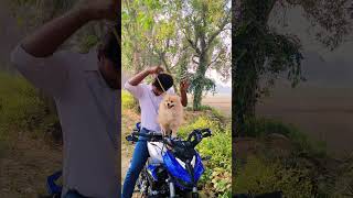 shorts Hero New Model Xtreme 125r xtreme125r pkpandit 1millionviews modified new ytshorts yt [upl. by Erasme]