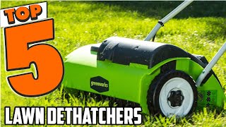 Top 5 Best Lawn Dethatchers What the Pros Use for Perfect Lawns [upl. by Mosora]