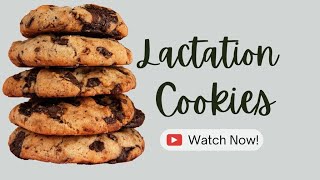 Lactation Cookies Recipe  Quick Easy Lactation Cookies Recipe [upl. by Eleonora]