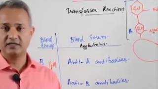 Blood Typing and Agglutination Reactions [upl. by Amihc464]