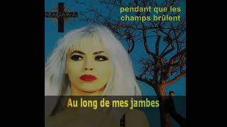 Pendant que les champs brûlent KARAOKE by NIAGARA  lucien depuydt karaoke [upl. by Lorrimer631]